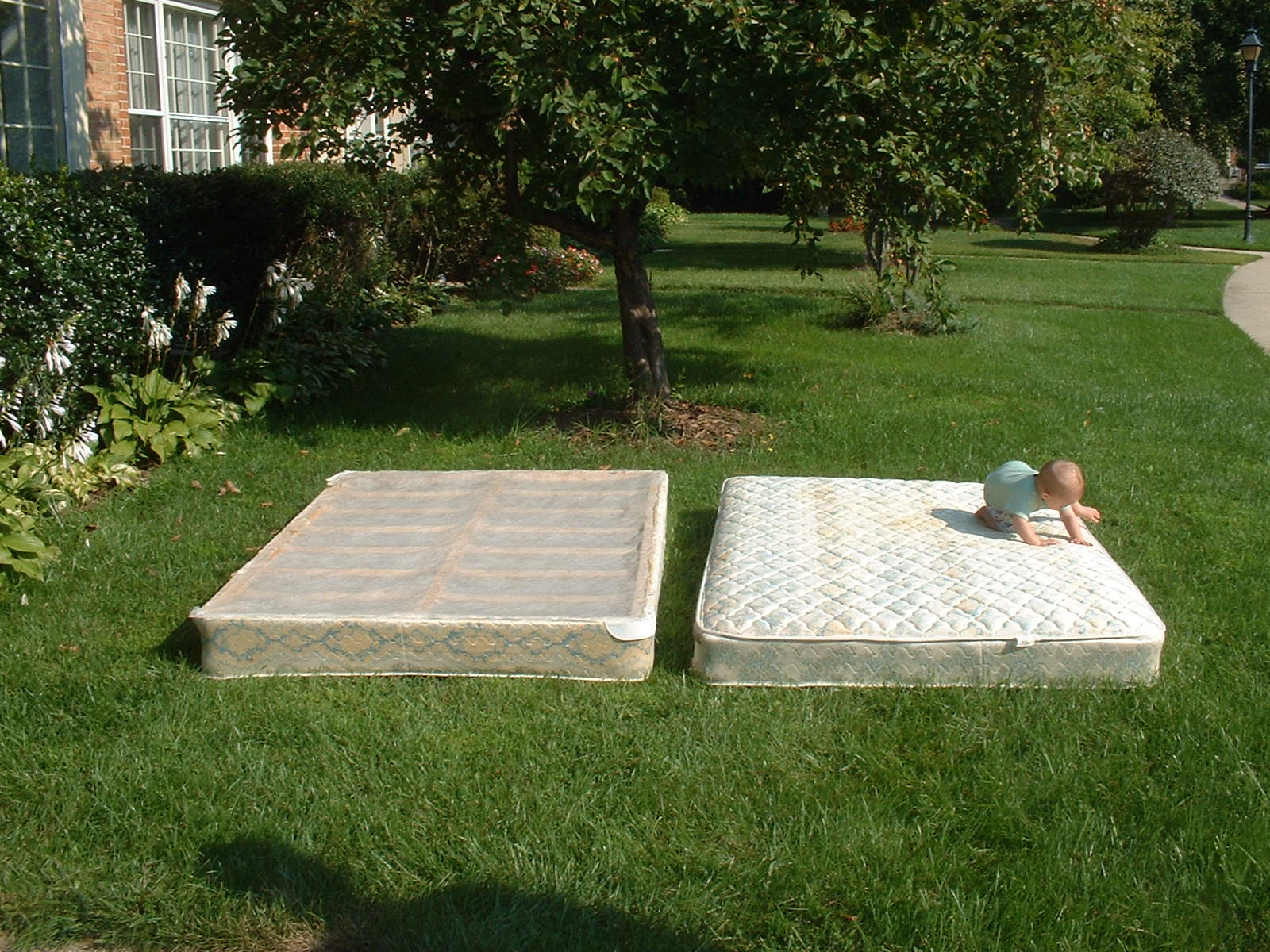 Taking apart an old mattress and box spring on my front lawn