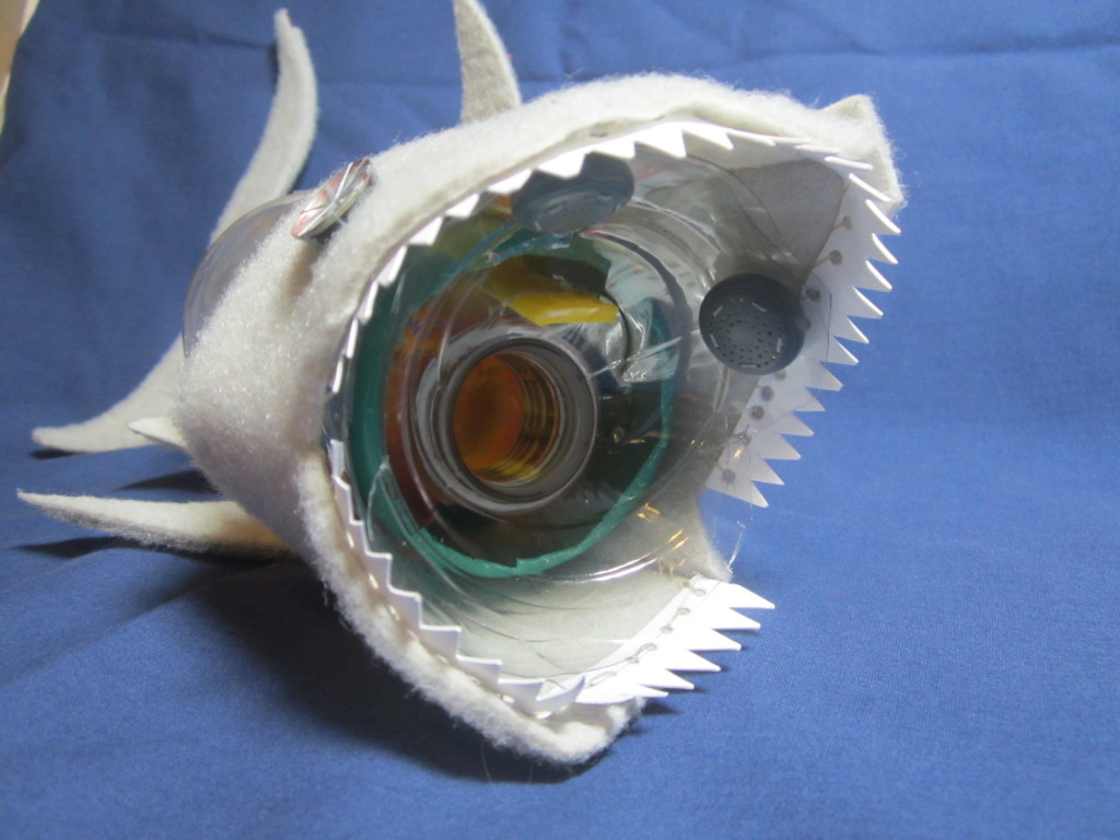 Inside the shark's mouth - notice olfactory lobes