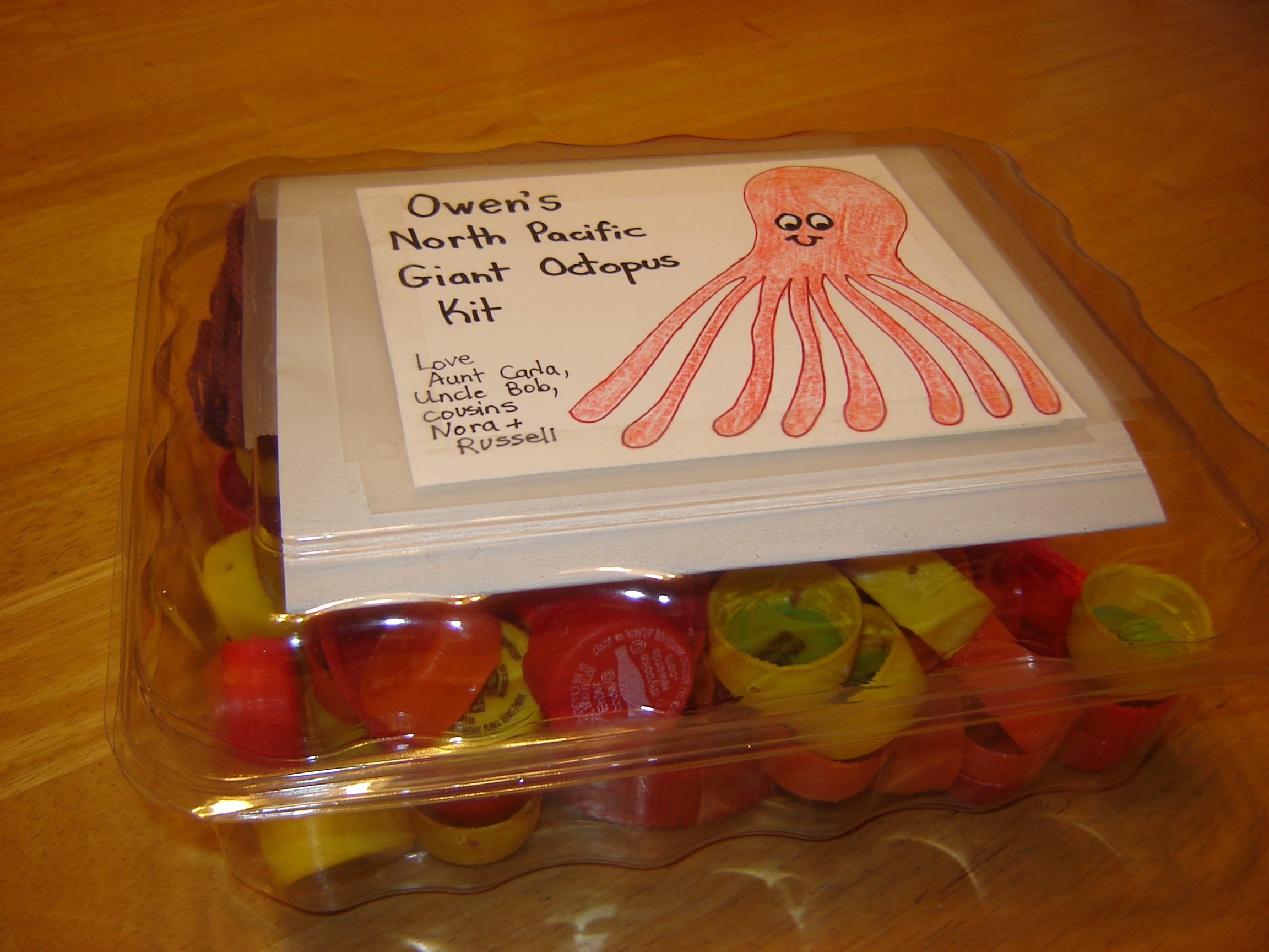 Plastic cap octopus "kit"