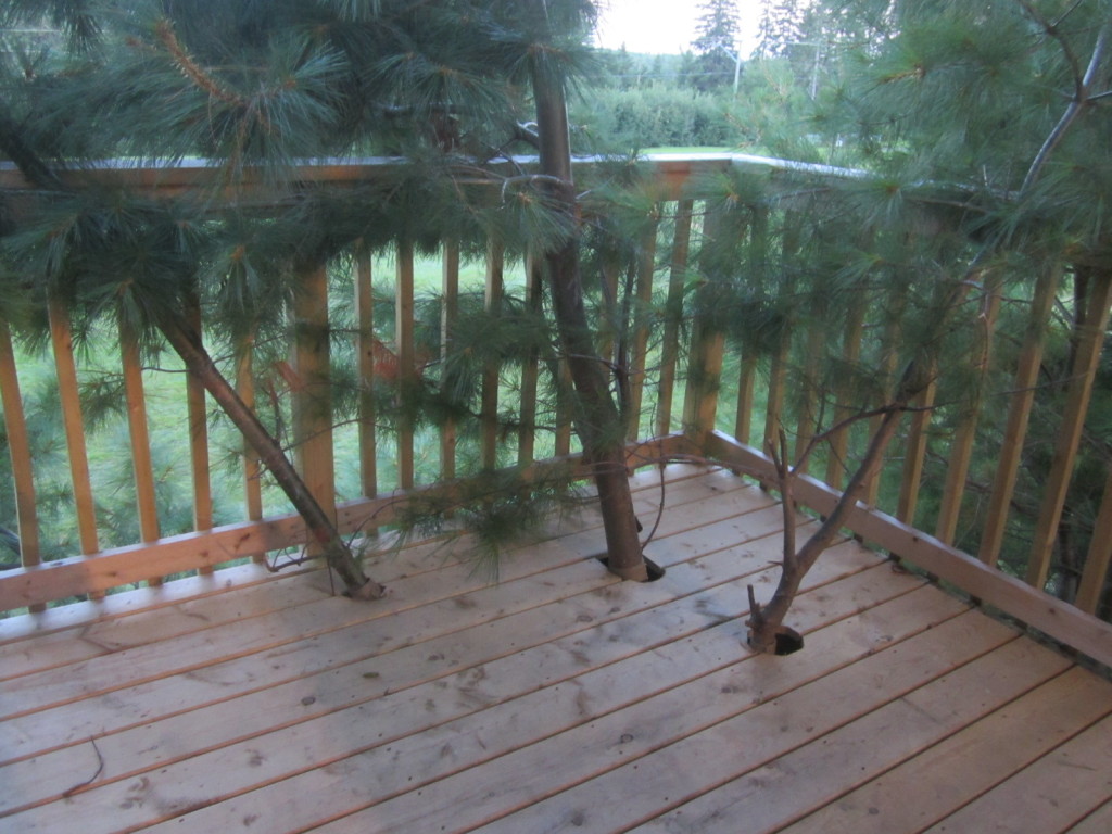 Branches poking out of the deck of the treehouse