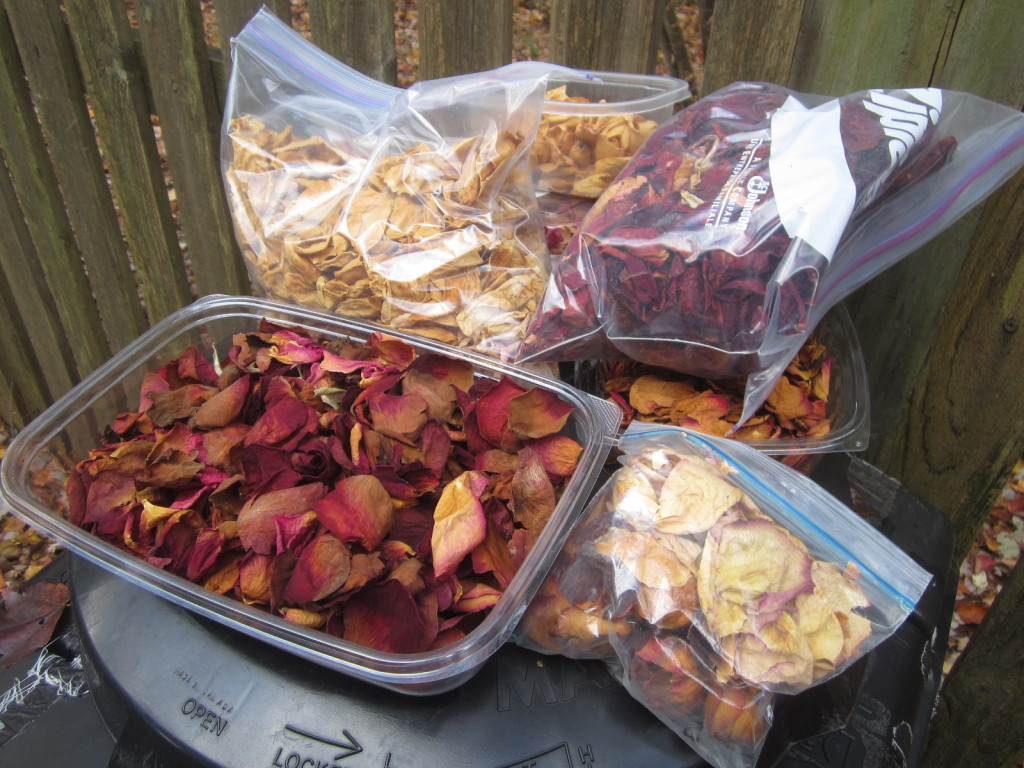 Composting my Rose Petal Collection