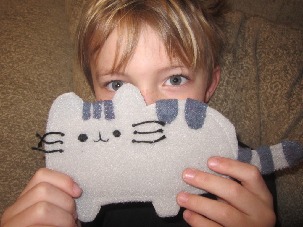 Sewing Pusheen Toys for Christmas