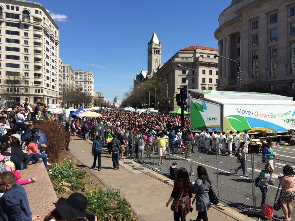 Cherry Blossom festival - view from Pennsylvania Avenue stage towards Capitol Building