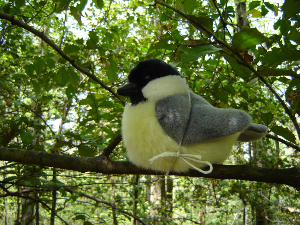A stuffed toy bird tied on a branch for a pretend nature scavenger hunt